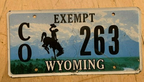 Wyoming county exempt deputy - wyoming,